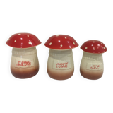Mushroom spice jars
