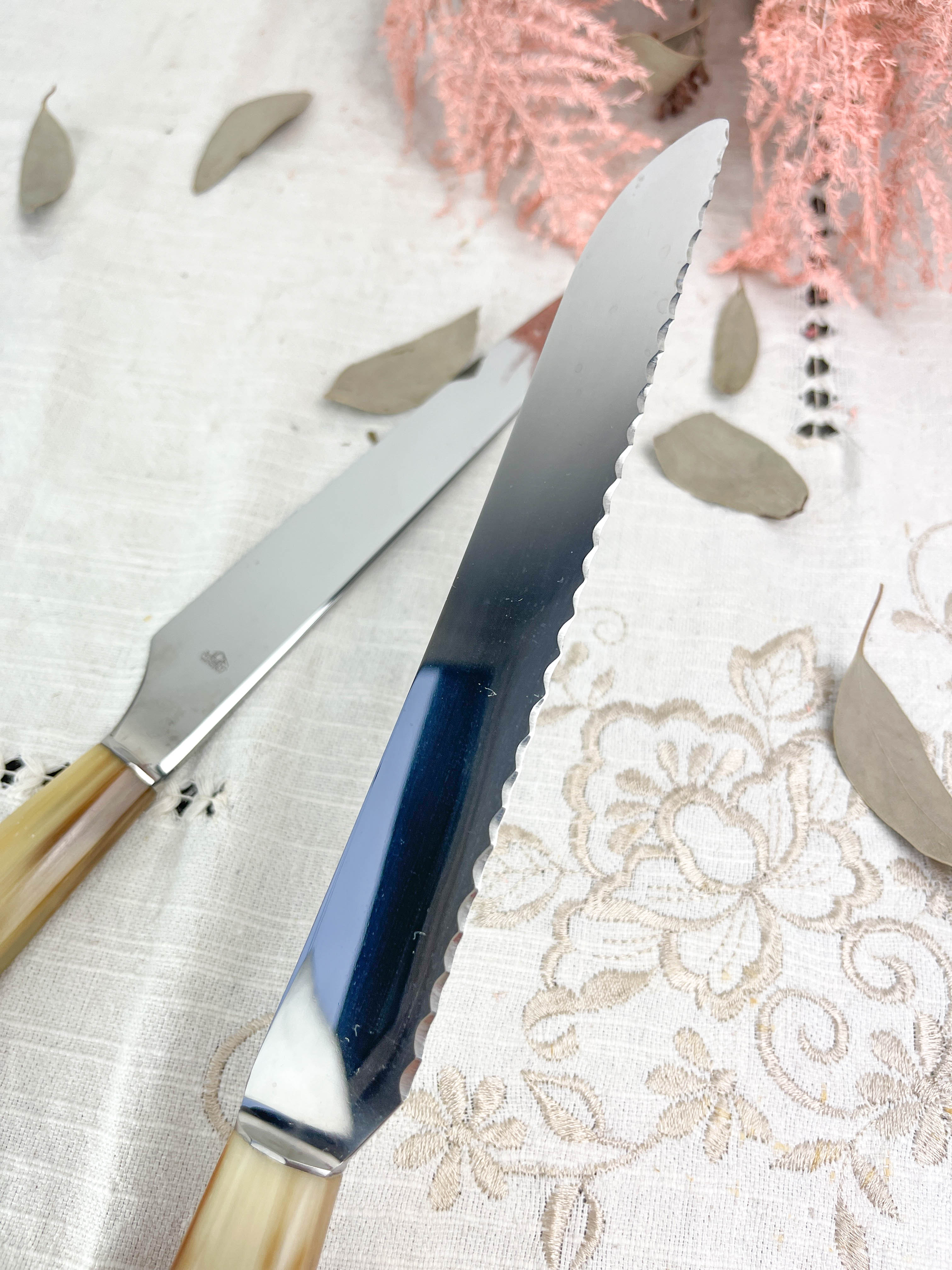 2 vintage Nogent Bakelite knives