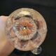 6 glasses champagne flutes Cristal d'Arques Rambouillet