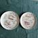 Horoscope plates