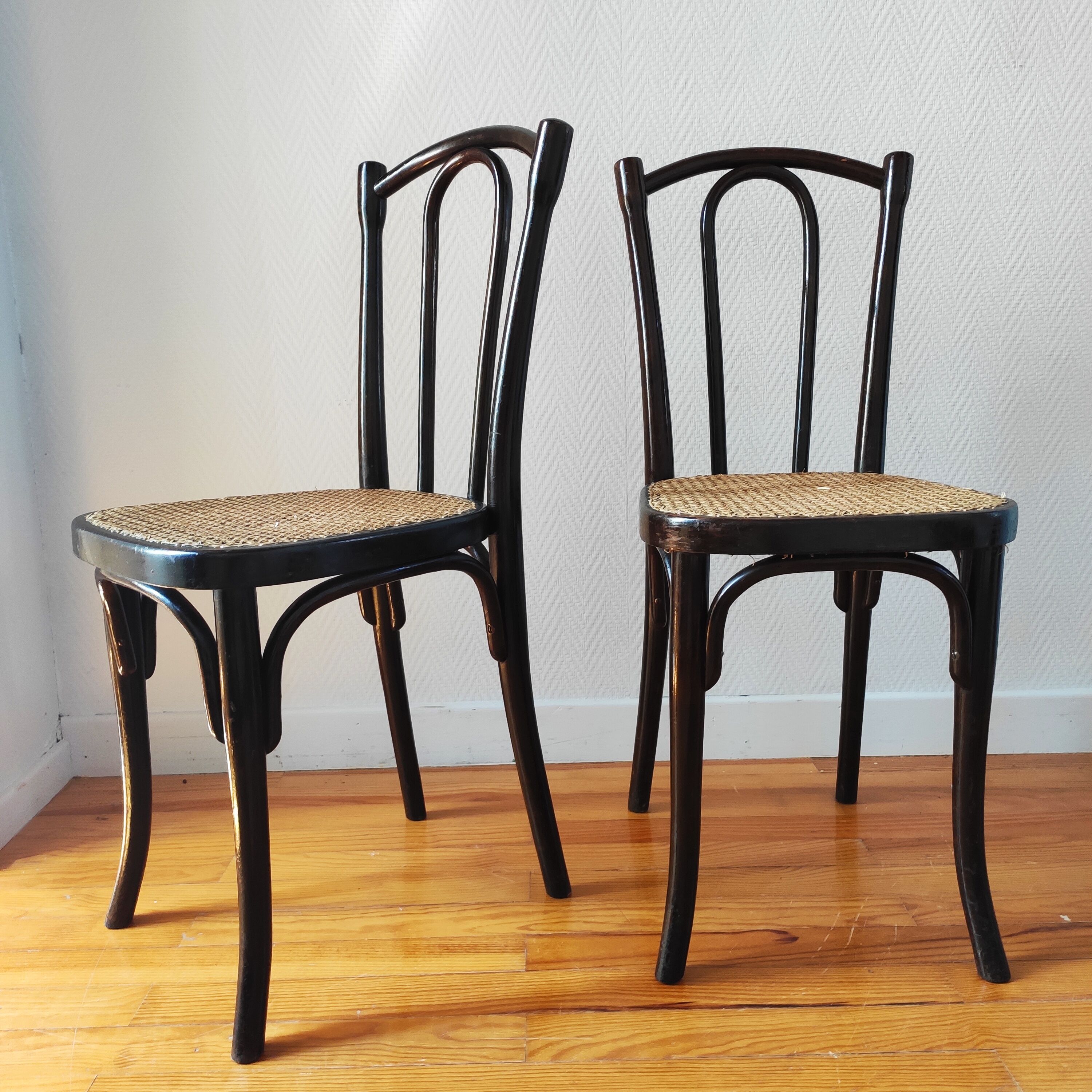 Pair of chairs bistrot Thonet N°56