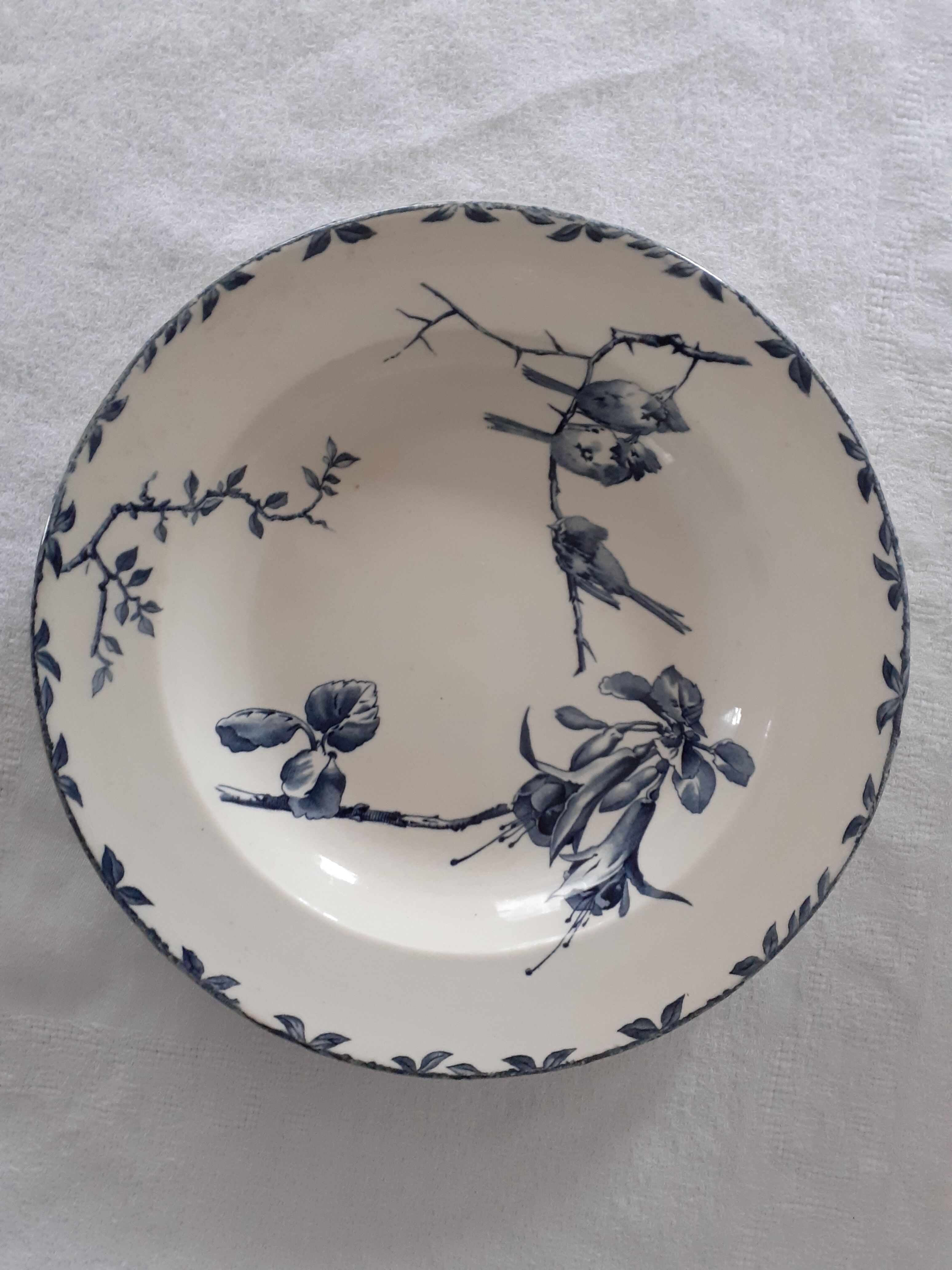 Assiette faience ancienne H B & Cie choisy le roy modèle Oxford décor oiseau  bleu