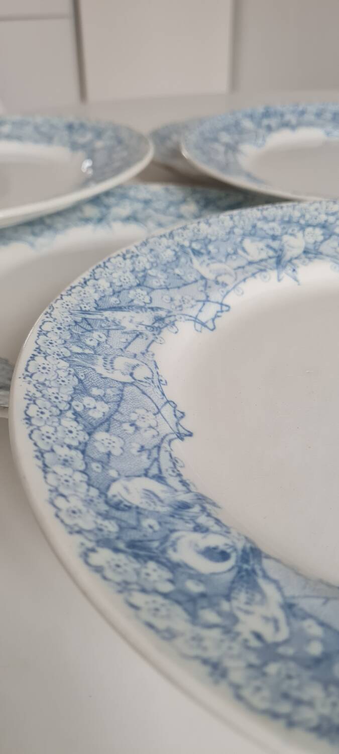 Set of 6 iron earthenware plates