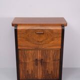 Art Deco Burl Cabinet 1920s Holland