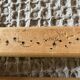 Lot de 6 chaises Niels Otto Moller n° 75 en chêne