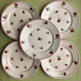 Flat plates Badonvillier