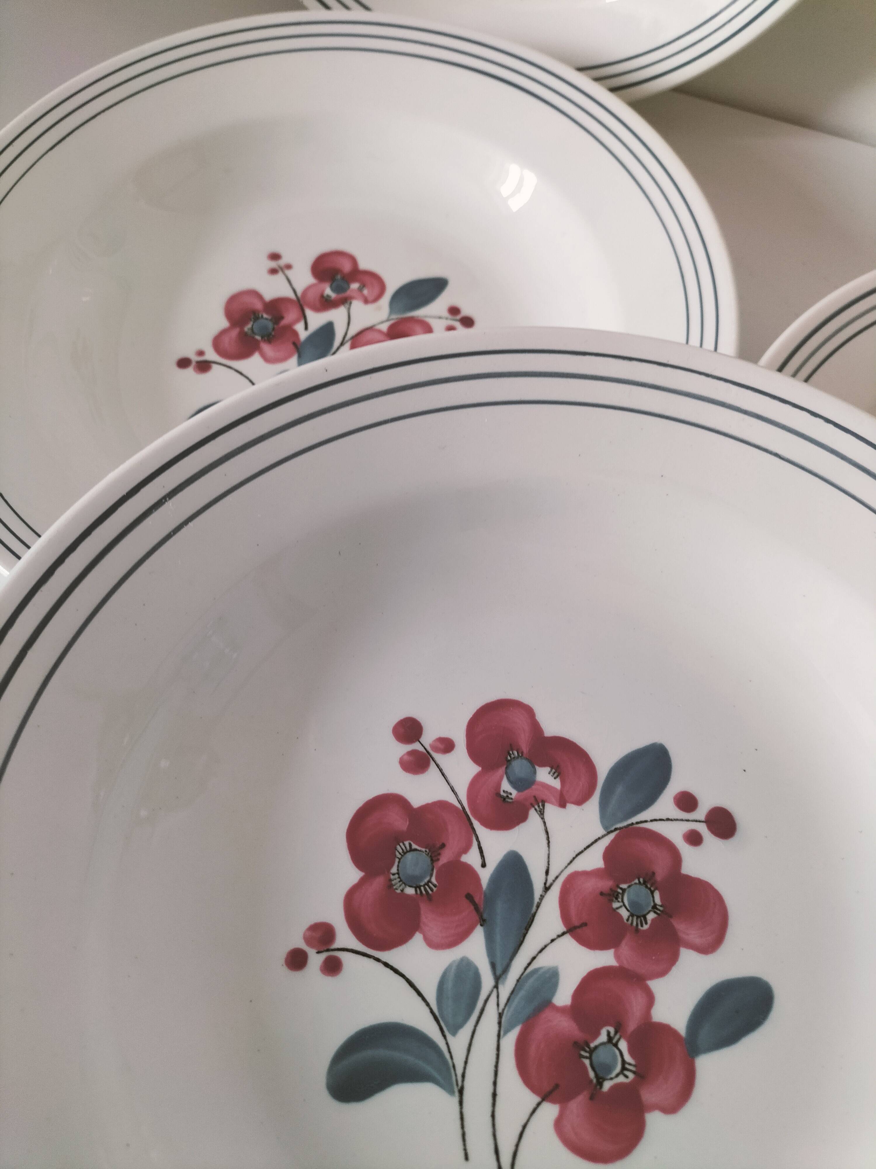7 Salins Odile soup plates – raspberry flowers & blue border