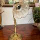 Lampe tulipe col de cygne Art Déco