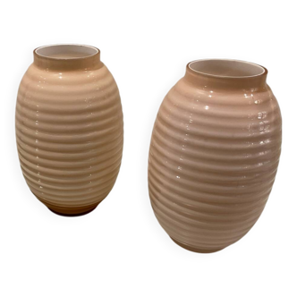 Lot de 2 vases roses