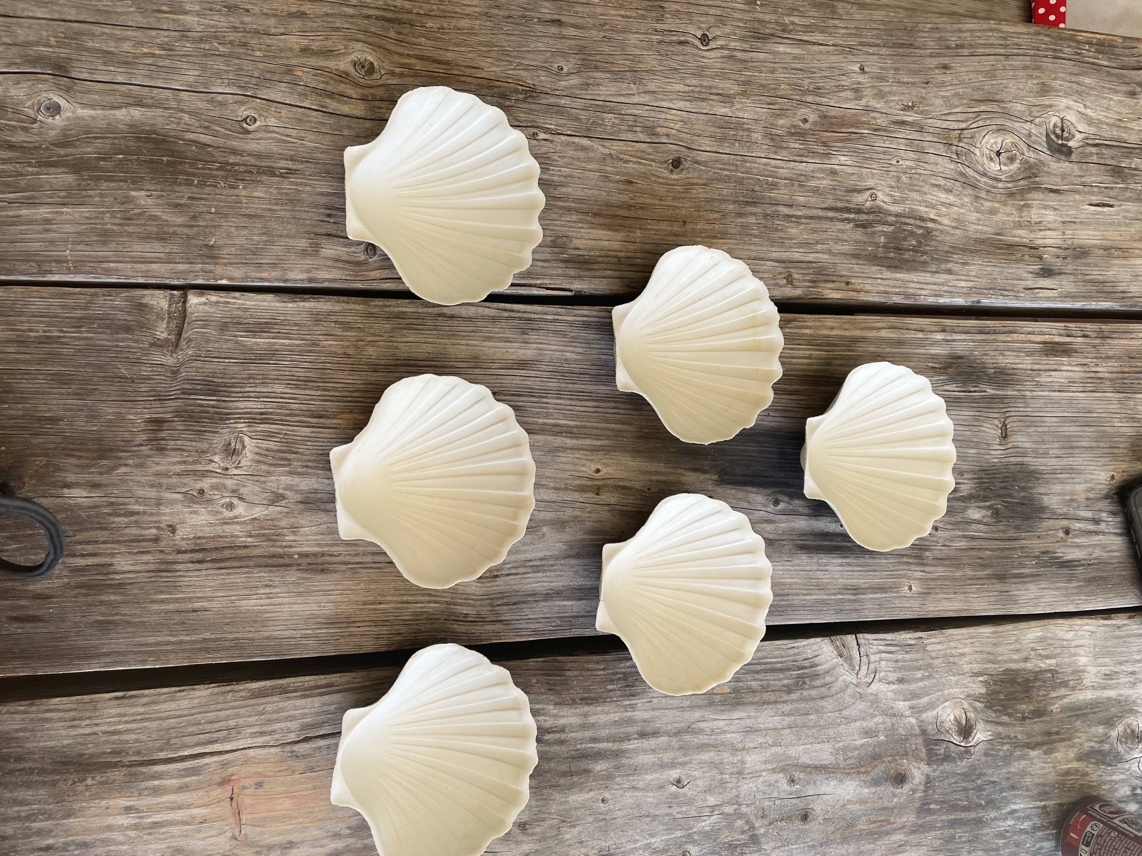 Lot de 6 coupelles coquillages en céramique
