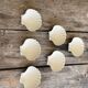 Lot de 6 coupelles coquillages en céramique