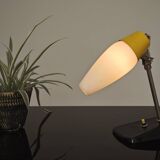 Ceramic table lamp by Jaroslav Anyz for Kamenicky Senov 1956