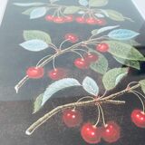 Framed lithograph of cherries