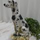 Ceramic animal