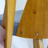 Dining Chairs by Antonin Suman, 1960s, Set of 4