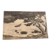 Charcoal drawing and ink the pines Carqueiranne sign Ryg