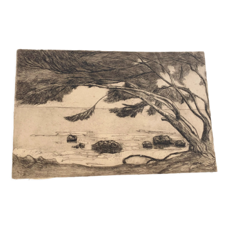 Charcoal drawing and ink the pines Carqueiranne sign Ryg