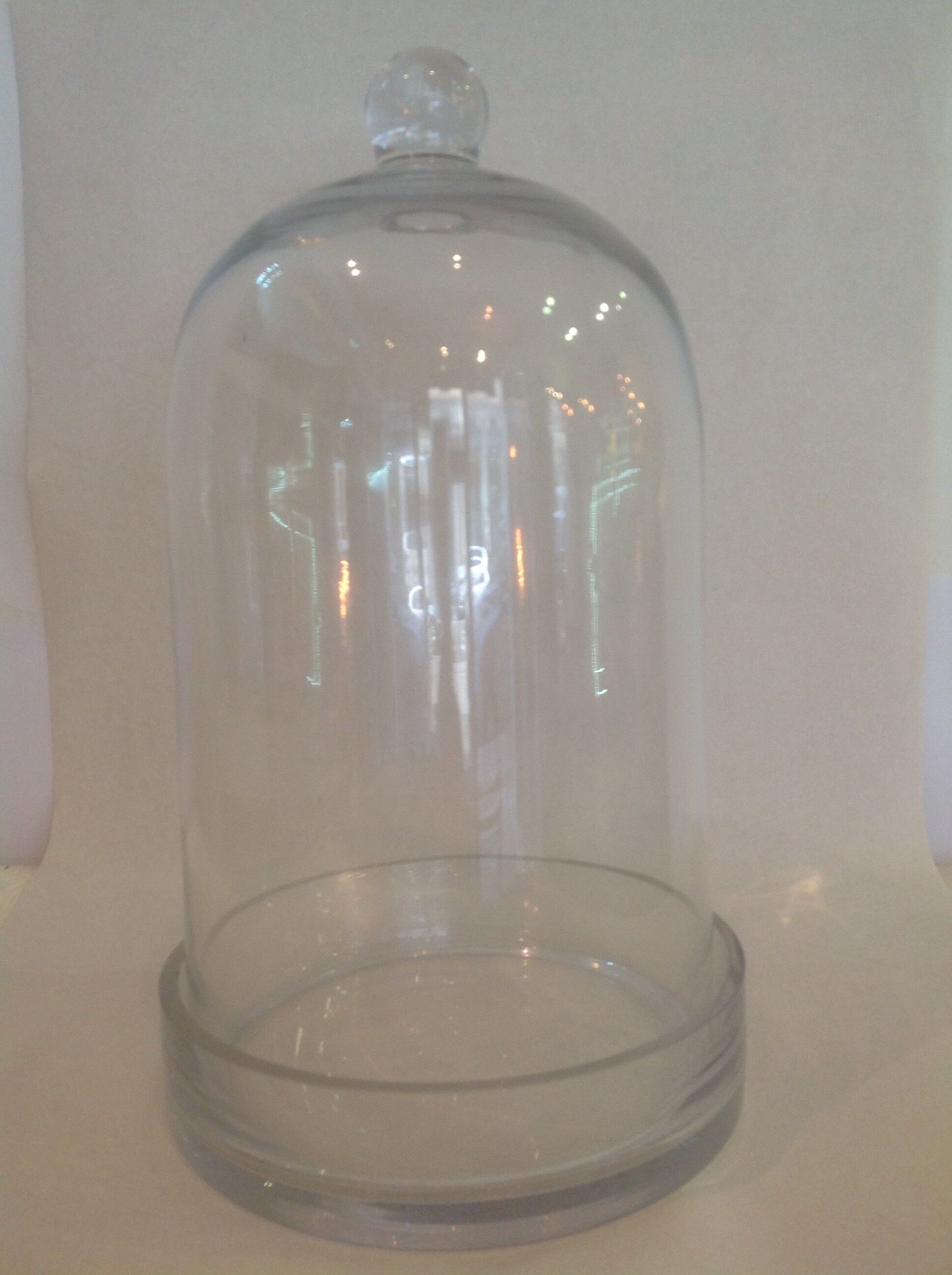 Support en verre avec cloche en verre