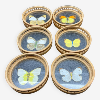 Set of 6 vintage butterfly coasters