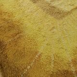 Desso carpet
