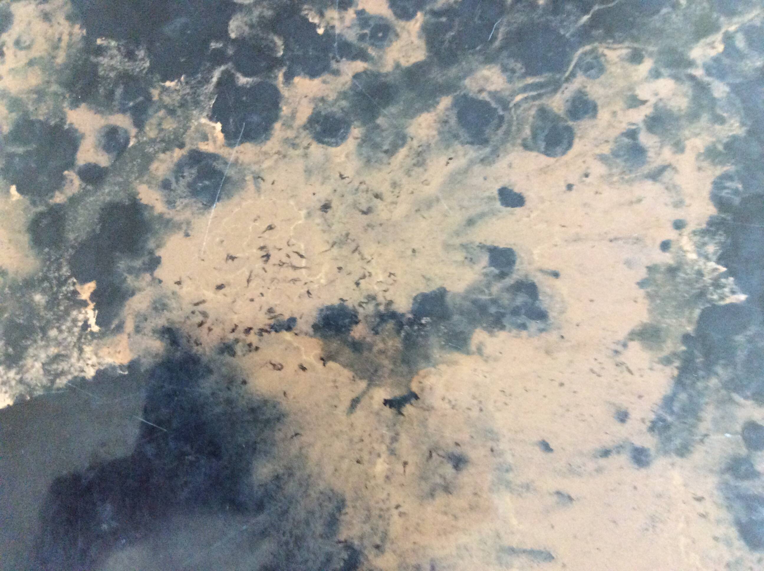 Guy Lefèvre Roche Bobois coffee table