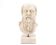 Plaster bust of a Greek man Socrates, 1970s