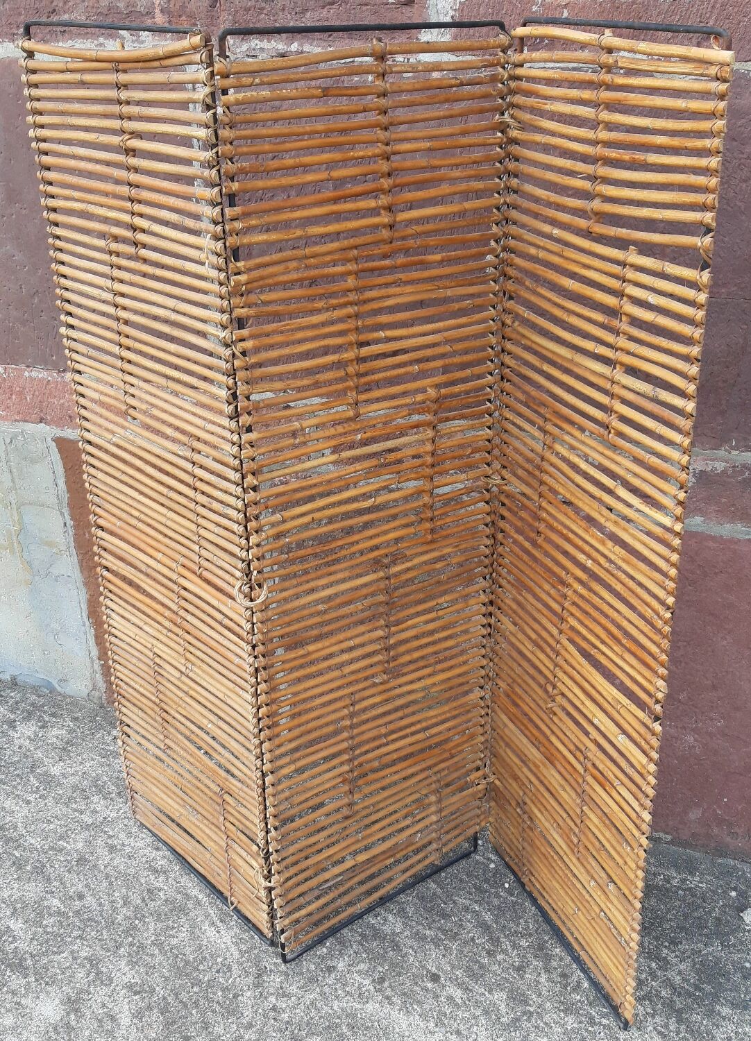 Bamboo screen year 60