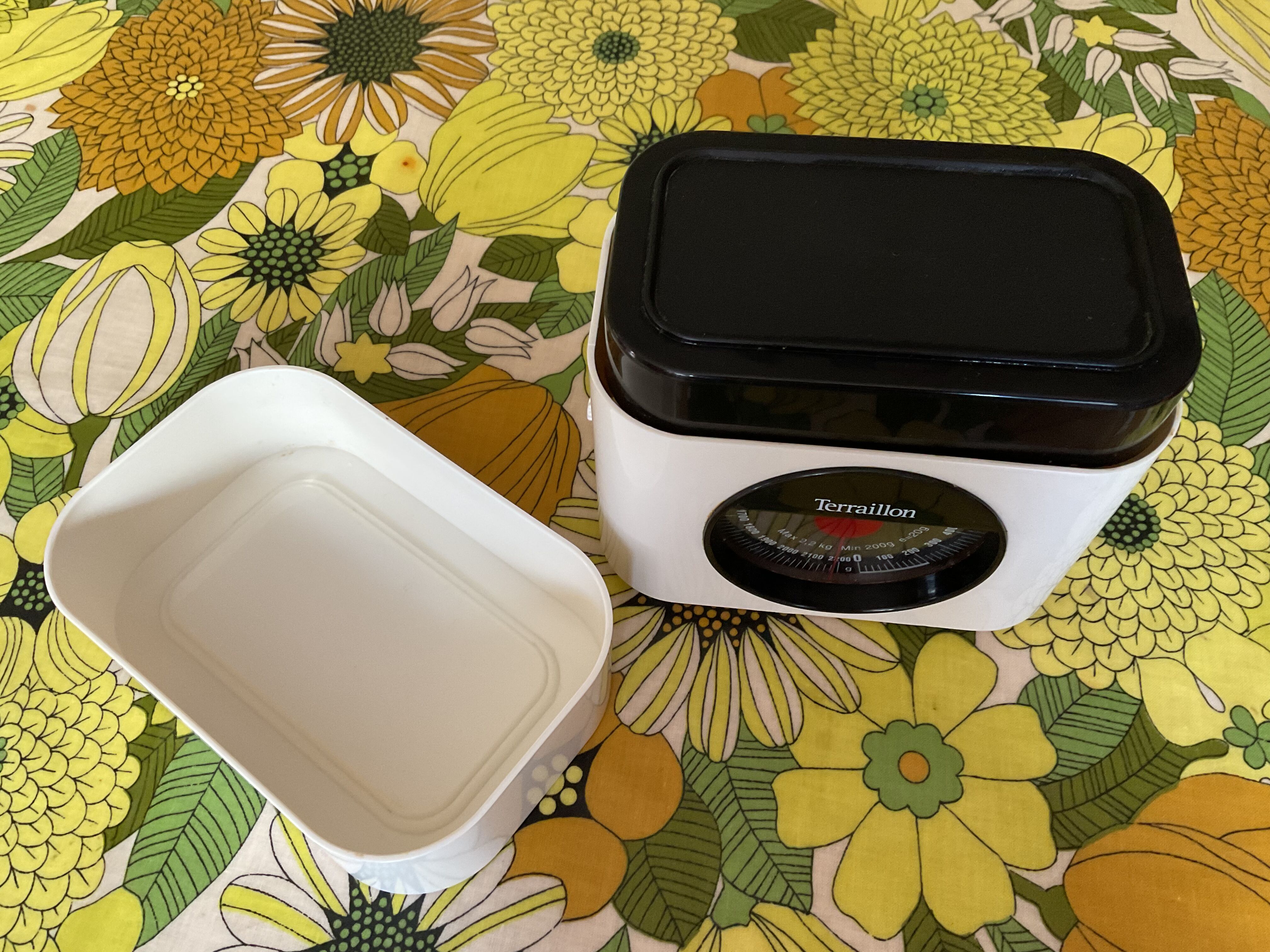 Terraillon vintage white and black scales