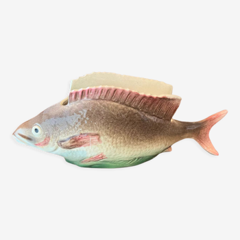 Slurry fish