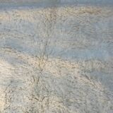 Wool carpet