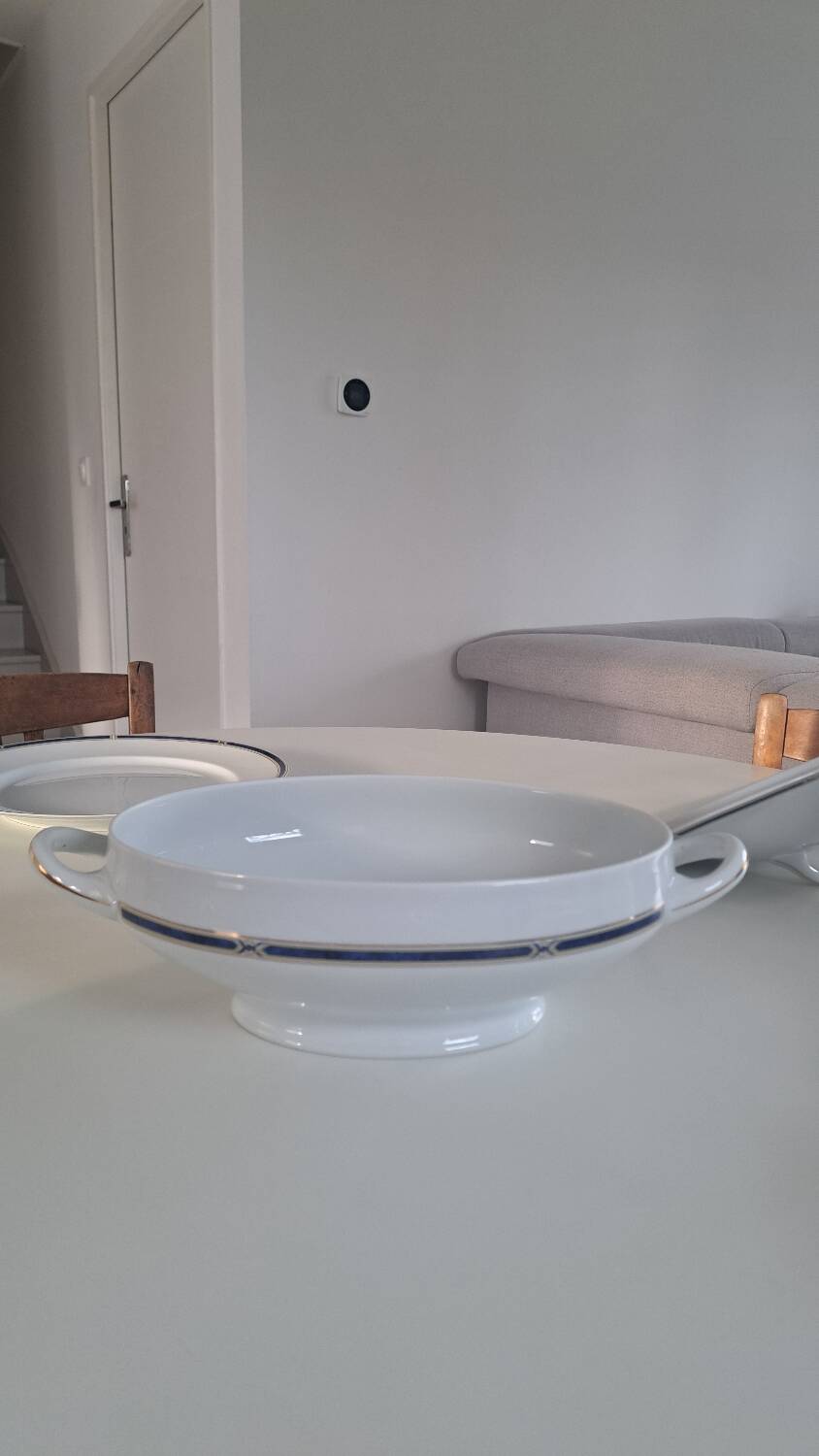 Soup tureen + Haviland plate
