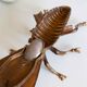 Ashtray fly brass vintage 1970