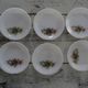 6 Dessert plates Arcopal model Fruits de France apple pear vintage grape