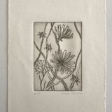 Etching signed by violayne hulné, study of clematis, 1984