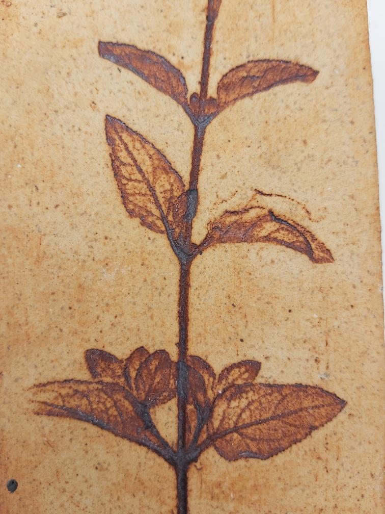 Vase Raymonde Leduc Vallauris