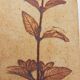 Vase Raymonde Leduc Vallauris
