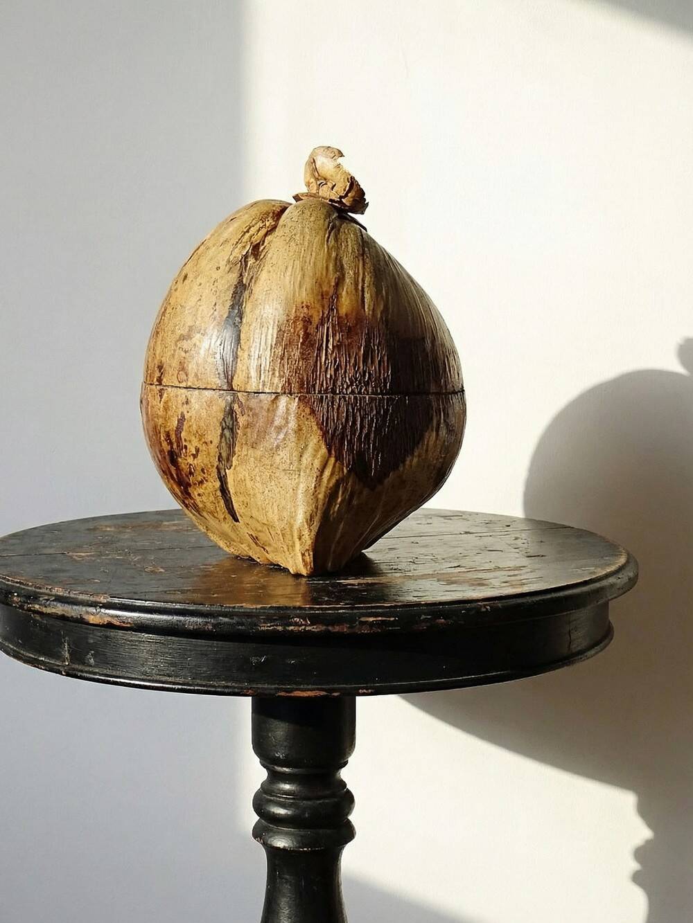 Large box/ice bucket curiosity Naturalised African Coconut vintage