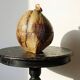 Large box/ice bucket curiosity Naturalised African Coconut vintage