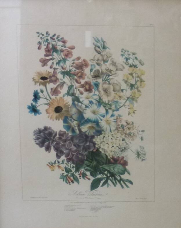 Framed Vilmorin lithograph, bouquet No 3, 1853, E. Champin