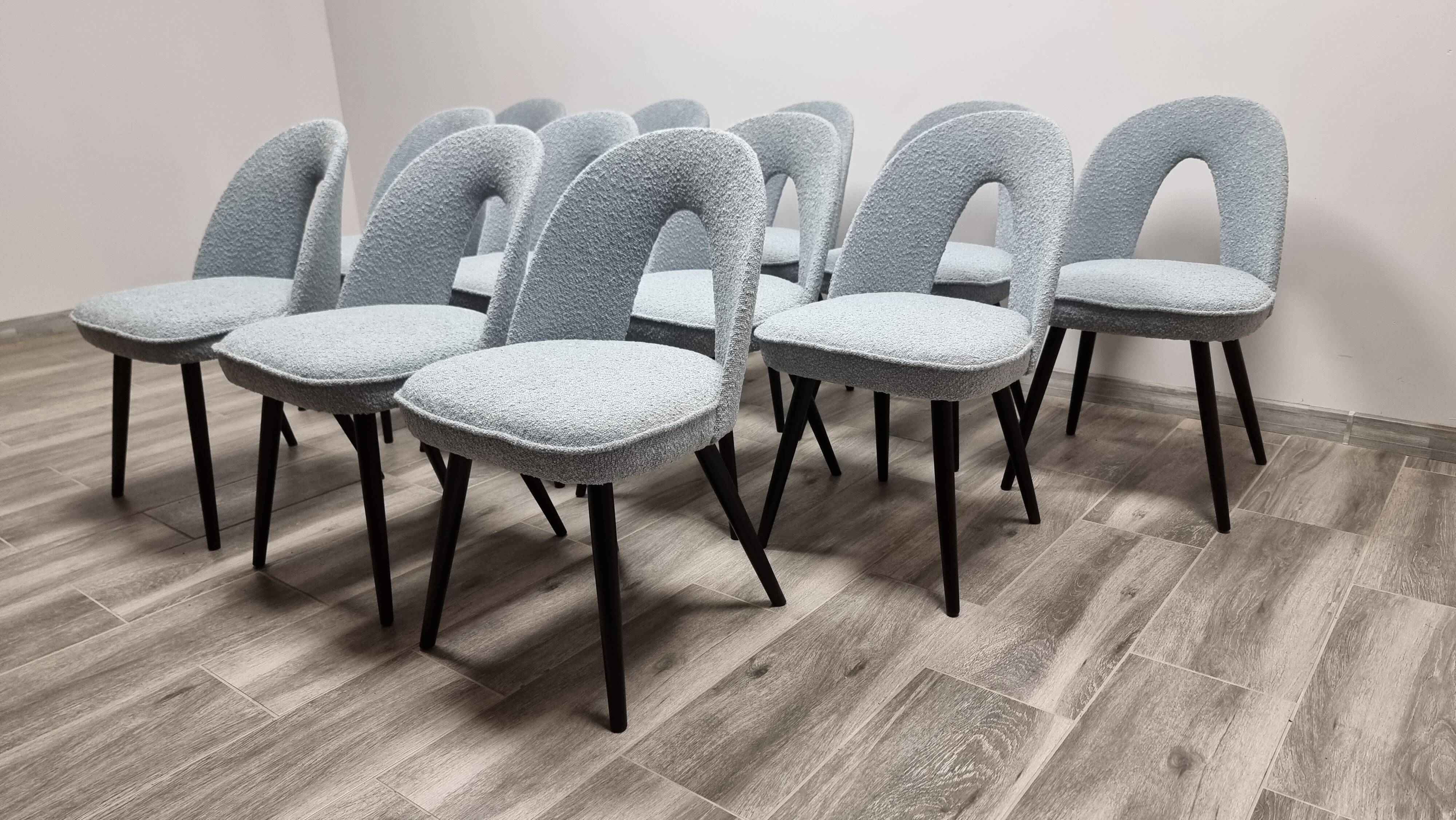 Chaises de Salle à Manger par Antonin Suman, 1960s, Set de 12