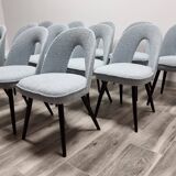 Chaises de Salle à Manger par Antonin Suman, 1960s, Set de 12