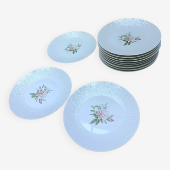 Vintage plates, porcelain, roses