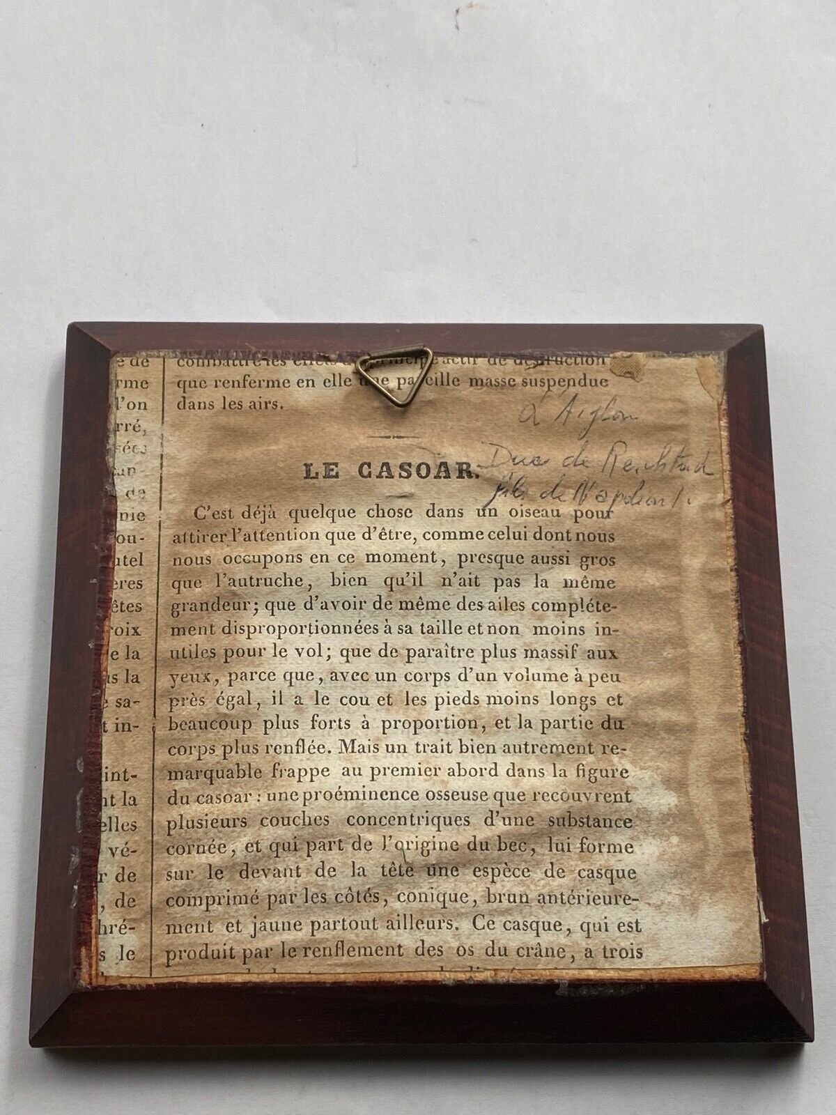 Hand-painted miniature by gille xxeme representing the eaglet