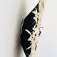 Juju hat blanc beige noir 80cm