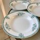 Lot of 6 hollow plates Terre de Fer Saint-Amand late nineteenth