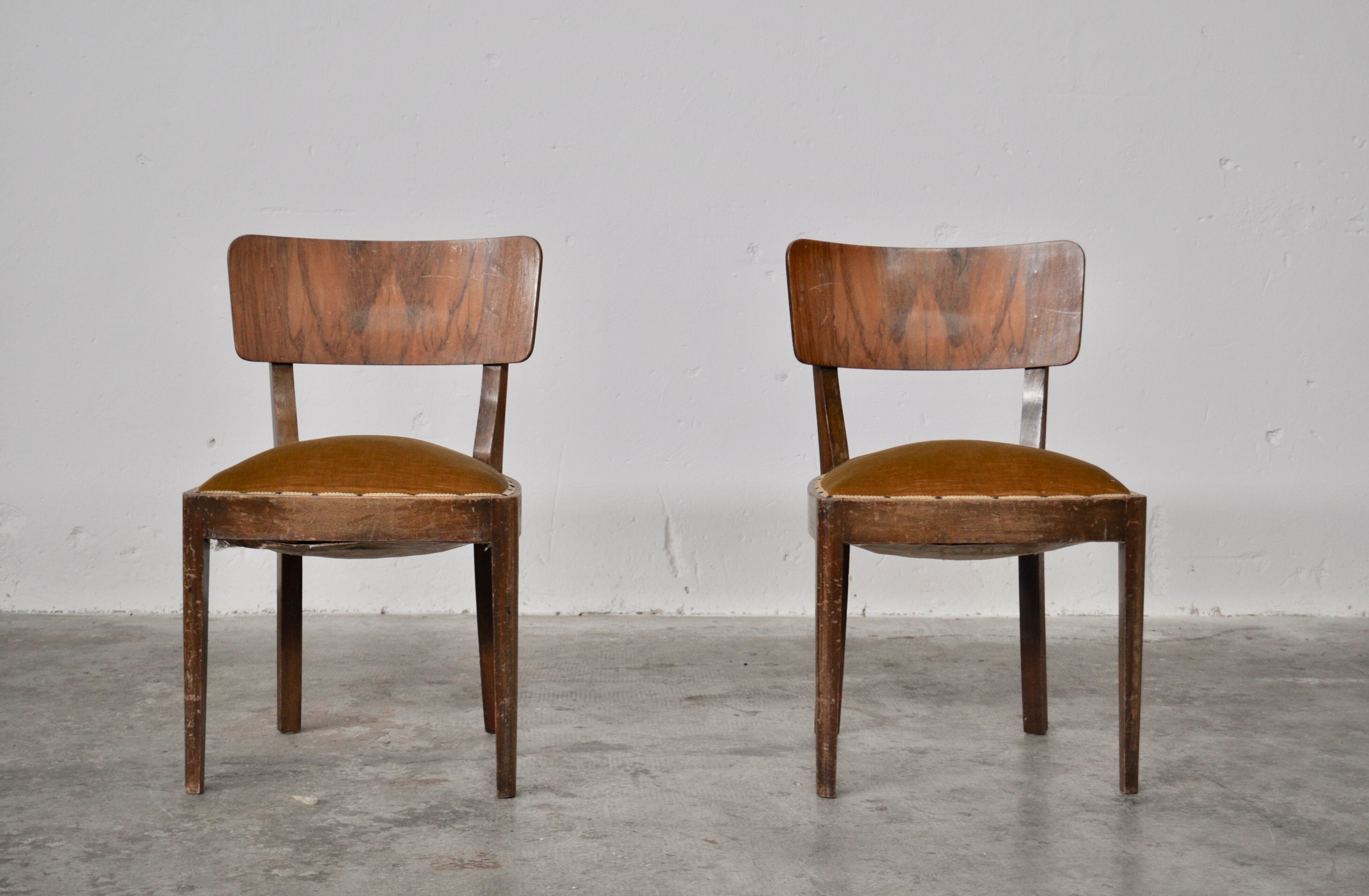 Vintage walnut chairs with studs & straps and springs in velvet, italy, 1920s