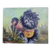 Oil on Card Hsc Portrait Dog Bichon Signed 41 x 32 cm