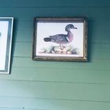 Ancient framed duck