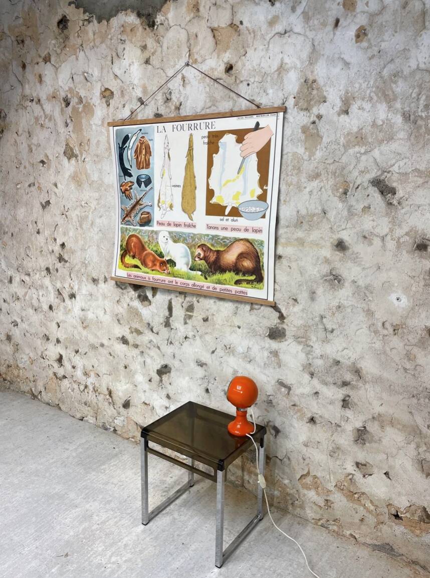 School poster the orange and the fur