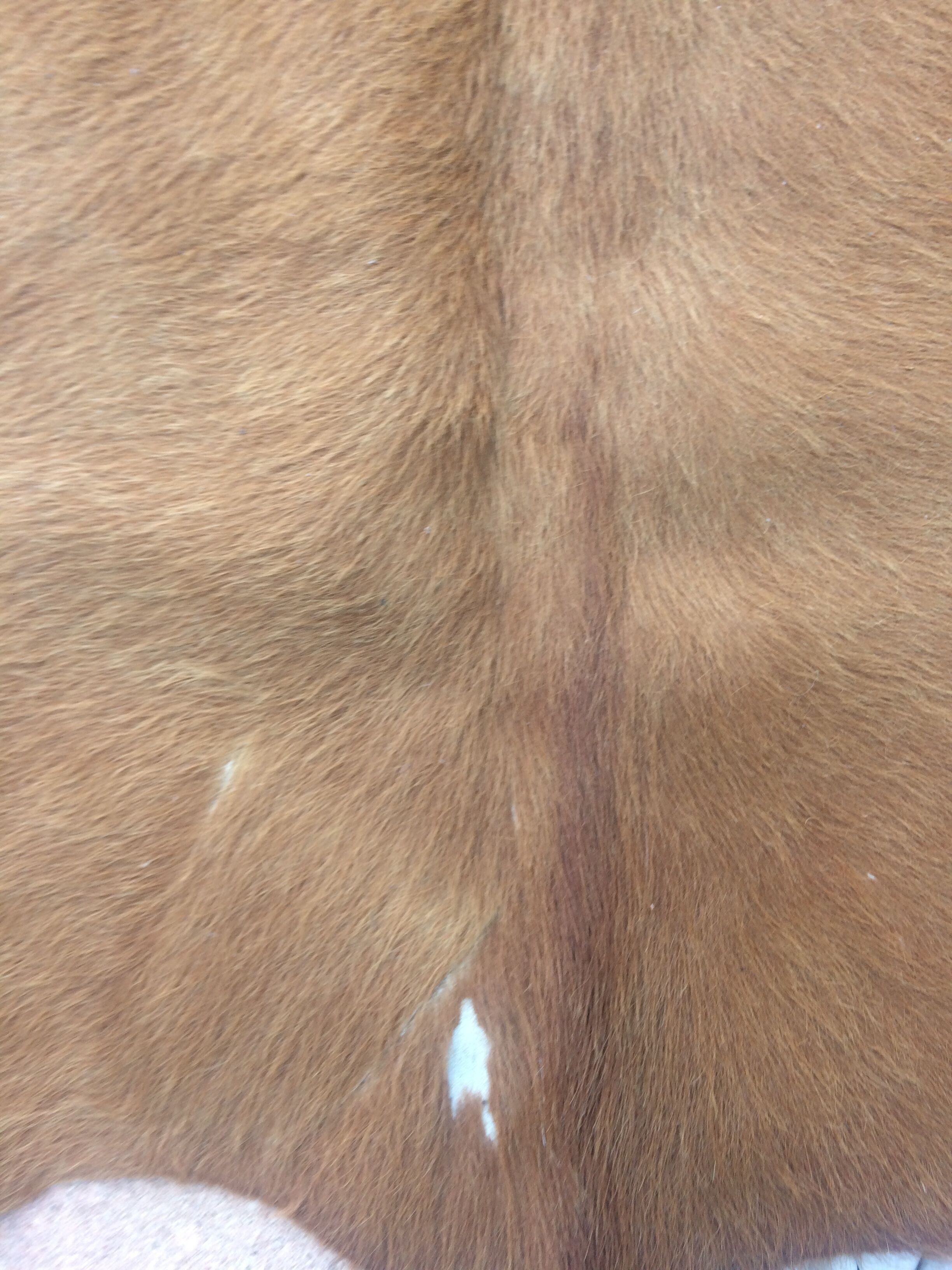 Cowhide leather, color brown glazed